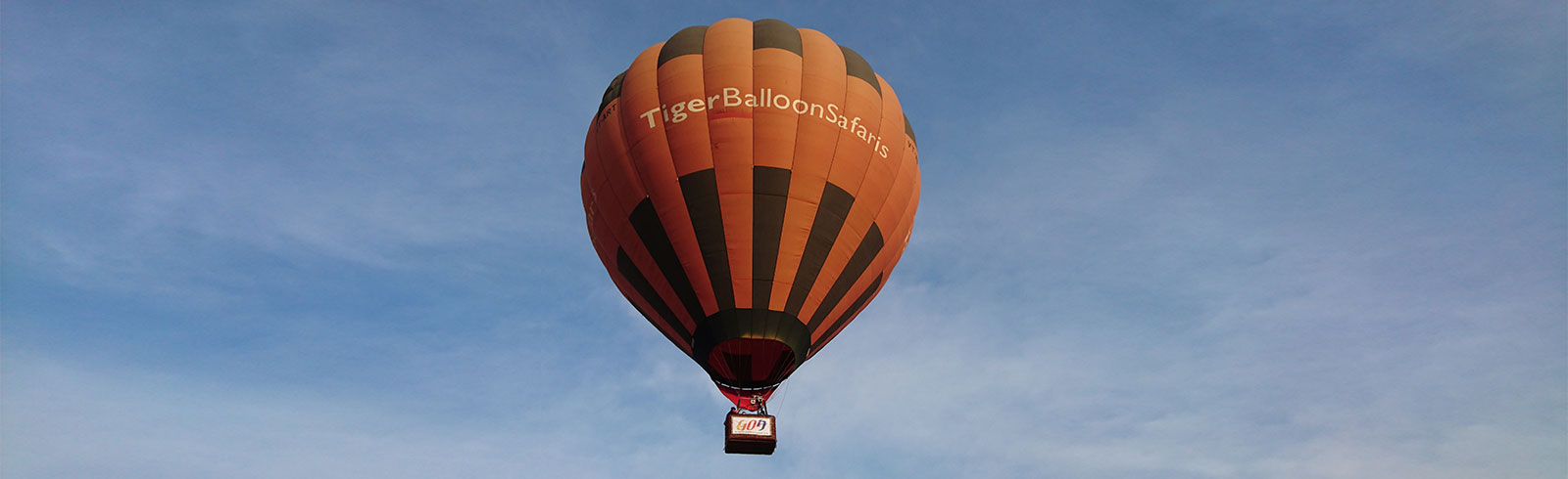 Tiger Balloon Safaris