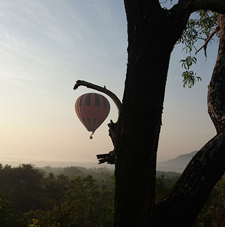 PENCH JUNGLE CAMP