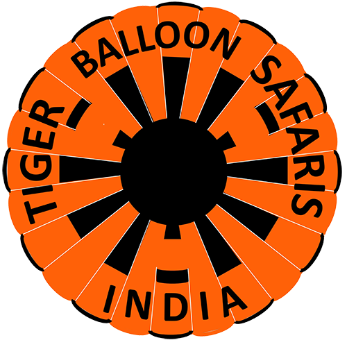 balloon safari in india